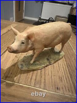 Border fine arts pig sow