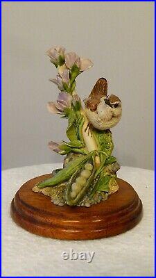 Border fine arts wren on peas, WB36, by Russell Willis Free Delivery