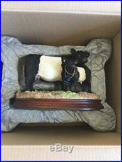 Border fine artts BELTED GALLOWAY COW and CALF. Boxed Ltd Edition