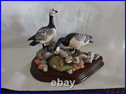 Boxed Border Fine Arts, Barnacle Geese Limited Edition No 411/1850