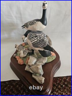 Boxed Border Fine Arts, Barnacle Geese Limited Edition No 411/1850