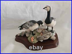 Boxed Border Fine Arts, Barnacle Geese Limited Edition No 411/1850