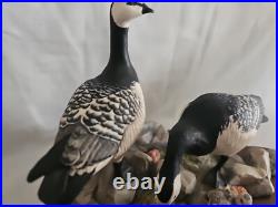 Boxed Border Fine Arts, Barnacle Geese Limited Edition No 411/1850