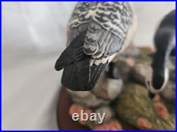 Boxed Border Fine Arts, Barnacle Geese Limited Edition No 411/1850