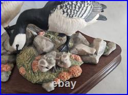 Boxed Border Fine Arts, Barnacle Geese Limited Edition No 411/1850