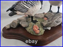 Boxed Border Fine Arts, Barnacle Geese Limited Edition No 411/1850