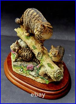Boxed Ltd Ed Border Fine Arts Highland Secret (scottish Wildcat) Figure Ayres