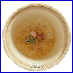 Brambly Hedge The Sea Story Trinket Box Border Fine Arts Limited Edition