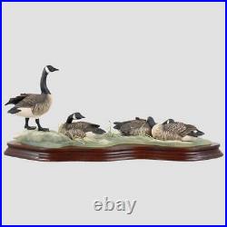 Canada Geese Border Fine Arts Geese