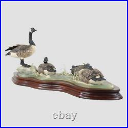 Canada Geese Border Fine Arts Geese