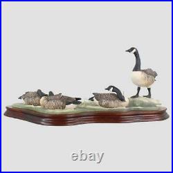 Canada Geese Border Fine Arts Geese