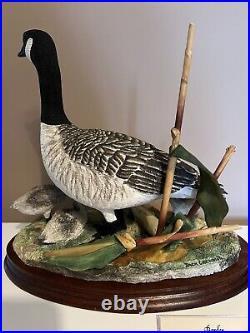 Canada Goose And Goslings Border Fine Arts Limited Edition