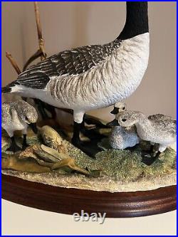 Canada Goose And Goslings Border Fine Arts Limited Edition