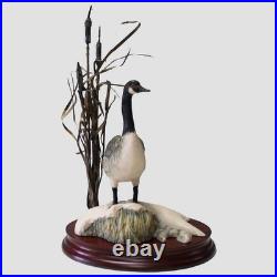 Canada Goose Border Fine Arts Birds