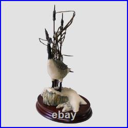 Canada Goose Border Fine Arts Birds