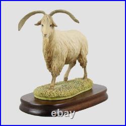Cashmere Goat Border Fine Arts