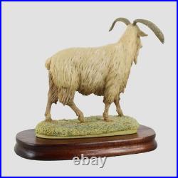 Cashmere Goat Border Fine Arts