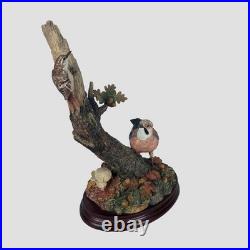 Chance Meeting Border Fine Arts Limited Edition Birds Model