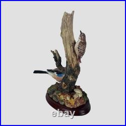 Chance Meeting Border Fine Arts Limited Edition Birds Model