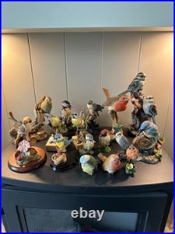 Collection of 16 Resin Bird Figurines Border Fine Arts Country Artists Bowbrook