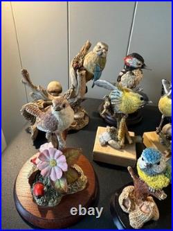 Collection of 16 Resin Bird Figurines Border Fine Arts Country Artists Bowbrook