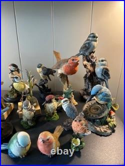 Collection of 16 Resin Bird Figurines Border Fine Arts Country Artists Bowbrook