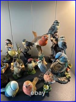 Collection of 16 Resin Bird Figurines Border Fine Arts Country Artists Bowbrook
