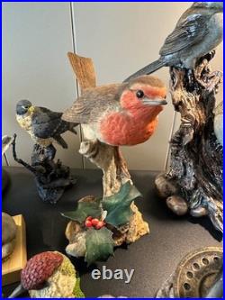 Collection of 16 Resin Bird Figurines Border Fine Arts Country Artists Bowbrook