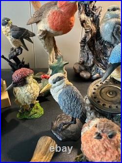 Collection of 16 Resin Bird Figurines Border Fine Arts Country Artists Bowbrook