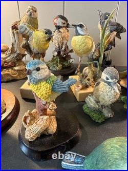 Collection of 16 Resin Bird Figurines Border Fine Arts Country Artists Bowbrook