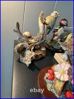 Collection of 16 Resin Bird Figurines Border Fine Arts Country Artists Bowbrook