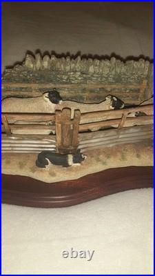 Ex Rare Limited Edition Border Fine Arts Shedding Lambs No 247/1250