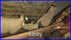 Ex Rare Limited Edition Border Fine Arts Shedding Lambs No 247/1250