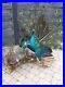 Excellent-pair-peafowl-peacock-taxidermy-luxury-real-home-decor-01-ita