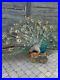 Excellent-peafowl-peacock-taxidermy-luxury-real-home-decor-01-kbr