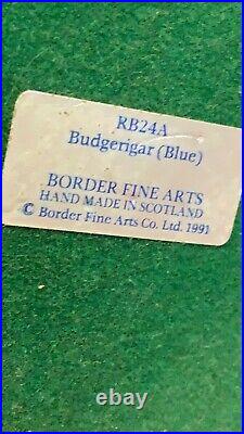 Fantastic Vintage Border Fine Arts Budgerigar Blue RB24A On Branch (C3)