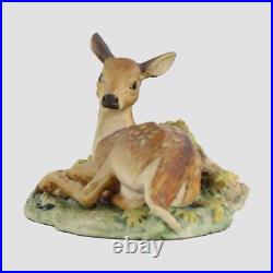 Fawn Style One Border Fine Arts