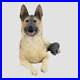 German-Shepherd-Lying-Border-Fine-Arts-01-lq