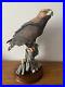 Huge-Border-Fine-Arts-Limited-Edition-Eagle-240-750-With-Certificate-47cm-Tall-01-ziw