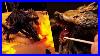 I-Made-A-Big-Three-Headed-Fire-Breathing-Wolf-01-vtq