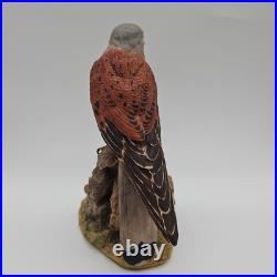 Kestrel Border Fine Arts Birds Rare