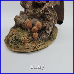 Kestrel Border Fine Arts Birds Rare