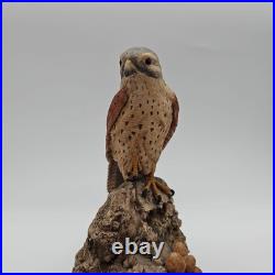 Kestrel Border Fine Arts Birds Rare