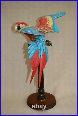 Large 50 CM Ltd Ed 761/950 Border Fine Arts Macaw By Richard Roberts