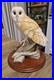 Large-Border-Fine-Arts-Barn-Owl-figurine-On-the-Lookout-model-BO276-01-dc