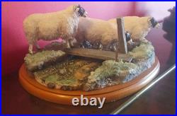Large Border Fine Arts Blackfaced Ewes A27074 Sheep Collection