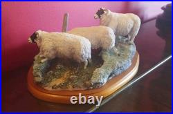 Large Border Fine Arts Blackfaced Ewes A27074 Sheep Collection