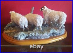 Large Border Fine Arts Blackfaced Ewes A27074 Sheep Collection