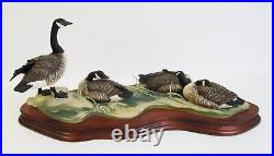 Large Border Fine Arts Canada Geese + Certificate Made in Scotland