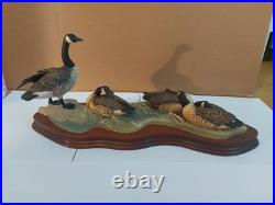 Large Border Fine Arts Canada Geese Made in Scotland Limited Edition 278/1500